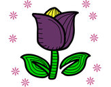 Dibujo Tulipán pintado por rosa56432