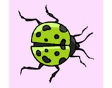 201631/mariquita-1-animales-insectos-pintado-por-ladybug-10757678_163.jpg