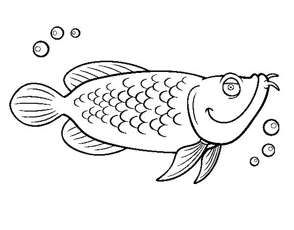 Dibujo de Bacalao para Colorear