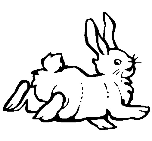 Dibujo de Conejo contento para Colorear
