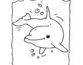 Dibujo de Delfín 2