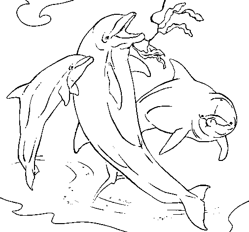 Dibujo de Delfines jugando para Colorear