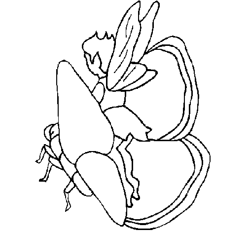 Dibujo de Duende y mariposa para Colorear