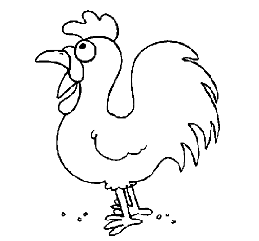 Dibujo de Gallo de granja para Colorear