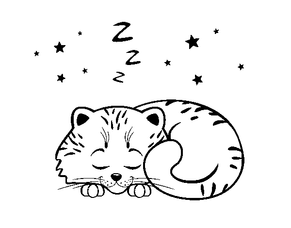 Dibujo de Gatito durmiendo para Colorear