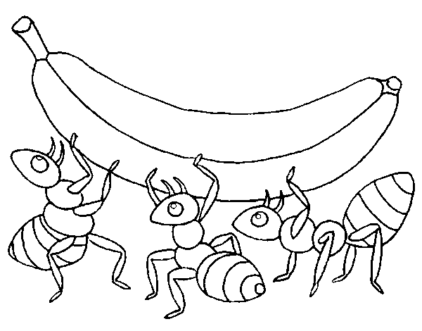 Dibujo de Hormigas con plátano para Colorear