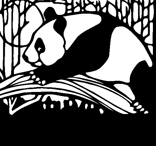Dibujo de Oso panda comiendo para Colorear