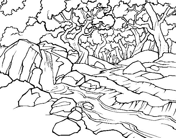 Dibujo de Paisaje de bosque con un río para Colorear