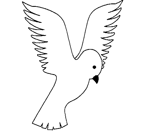Dibujo de Paloma alzando las alas para Colorear
