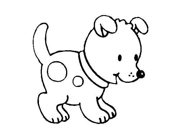 Dibujo de Perrito pequeño para Colorear
