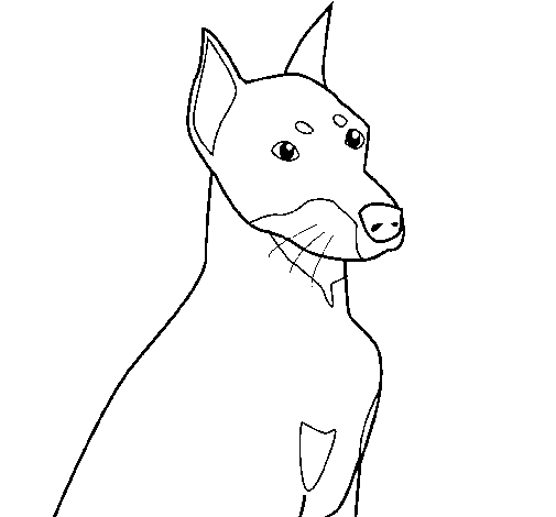 Dibujo de Perro 2 para Colorear
