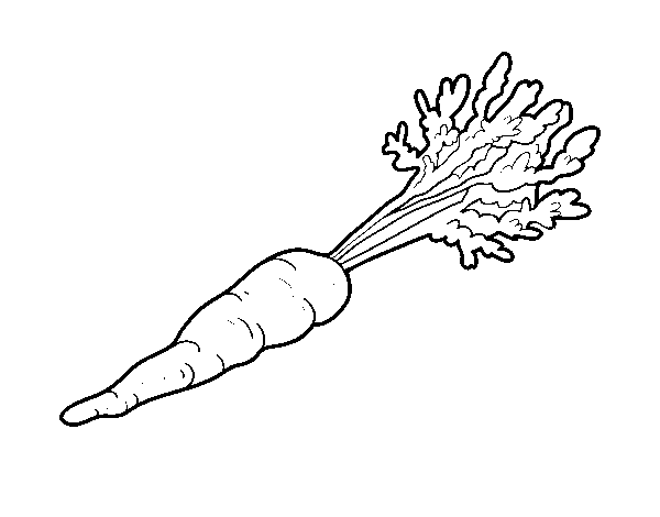 Dibujo de Zanahoria ecológica para Colorear