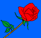 Dibujo Rosa pintado por sanam