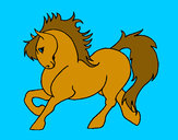 201222/caballo-robusto-animales-la-granja-pintado-por-paoliya-9743245_163.jpg