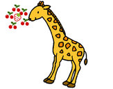 201244/jirafa-2-animales-la-selva-pintado-por-emoxa7894-9779072_163.jpg