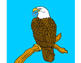 Dibujo Águila en una rama pintado por duvas