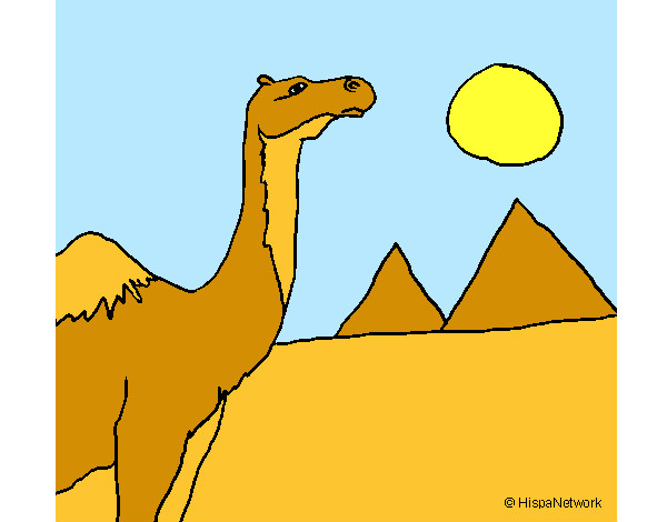 Dibujos de Camellos para Colorear 