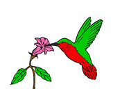 201406/colibri-y-una-flor-animales-aves-pintado-por-leslit-9879626_163.jpg
