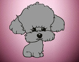 201424/cachorro-de-poodle-animales-perros-pintado-por-agustinro-9896679_163.jpg