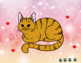 201729/gato-joven-animales-gatos-pintado-por-abrilzota-11071873_163.jpg