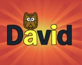 David