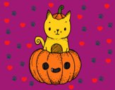 Un gatito de Halloween