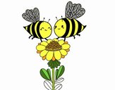 Pareja de abejas