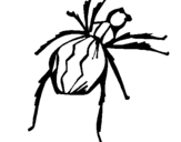 Dibujo de Araña viuda negra para colorear