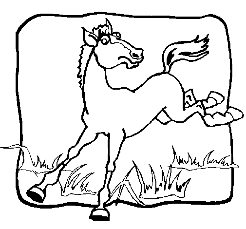Dibujo de Caballo dando una coz para Colorear