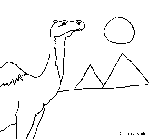Dibujo de Camello para Colorear