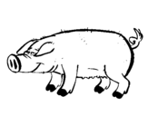 Dibujo de Cerdo con pezuñas negras para colorear