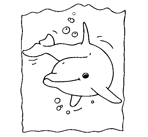 Dibujo de Delfín 2 para Colorear