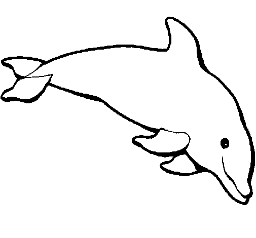 Dibujo de Delfín contento para Colorear