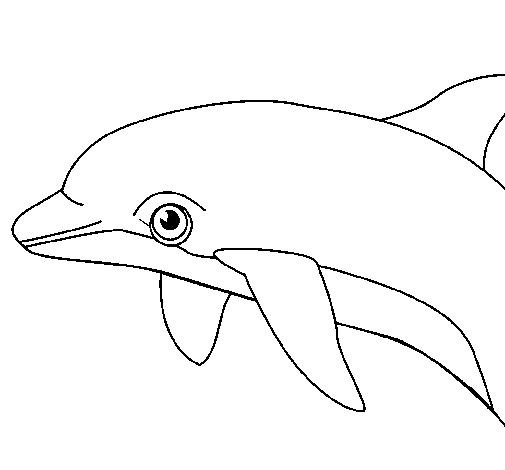 Dibujo de Delfín para Colorear