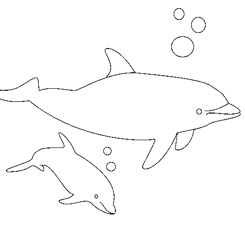 Dibujo de Delfines para Colorear 