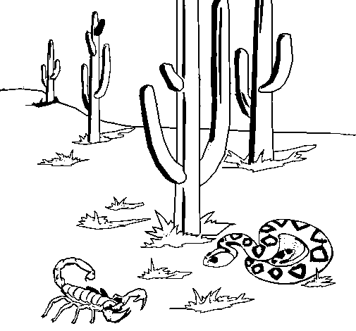 Dibujo de Desierto para Colorear
