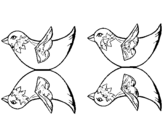 Dibujo de Dos pájaros para colorear