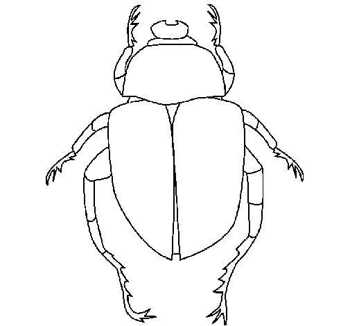 Dibujo de Escarabajo 1 para Colorear