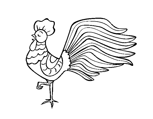 Dibujo de Gallo salvaje para Colorear
