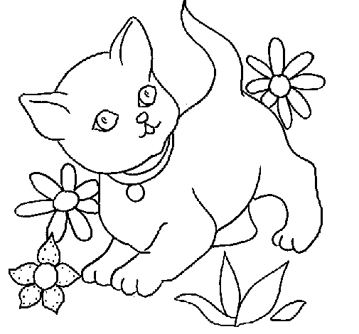 Dibujo de Gatito 1 para Colorear