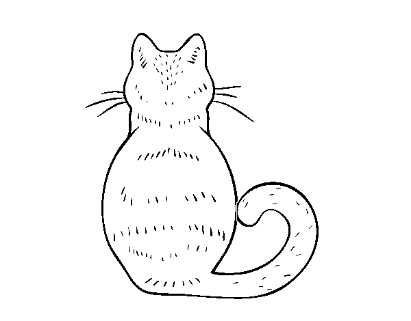 Dibujo de Gato de espaldas para Colorear