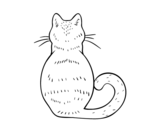 Dibujo de Gato de espaldas para colorear