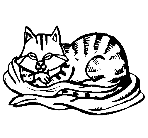 Dibujo de Gato en su cama para Colorear