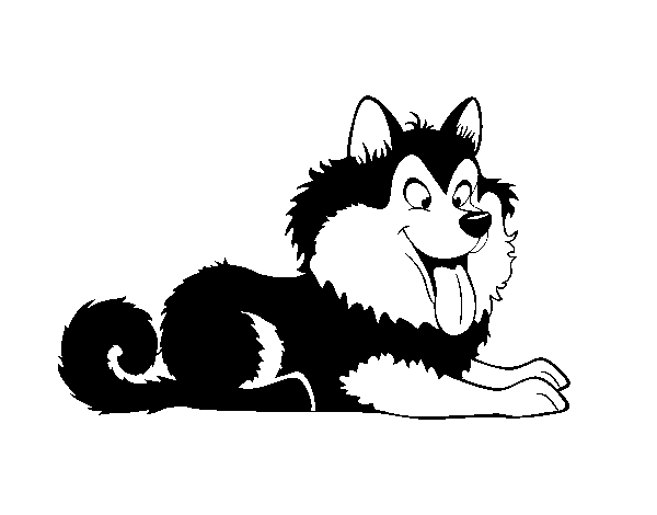 Dibujo de Husky cachorro para Colorear