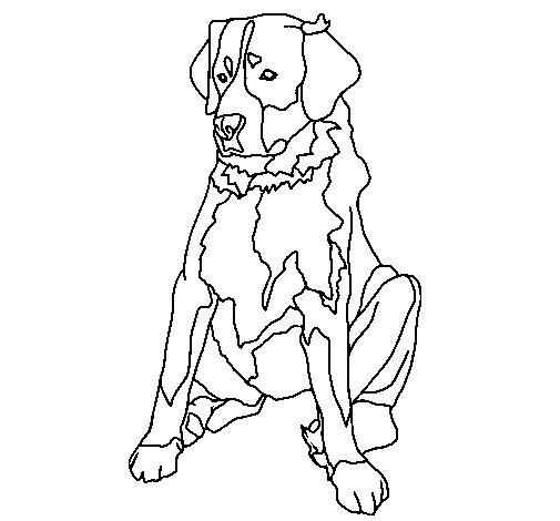 Dibujo de Labrador para Colorear