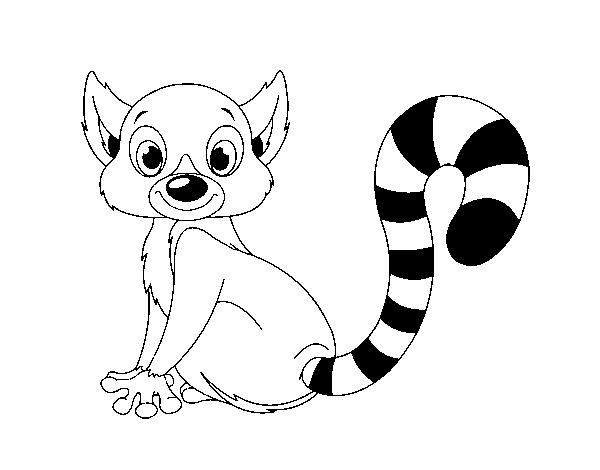 Dibujo de Lémur para Colorear
