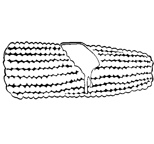 Dibujo de Mazorca de maíz 1 para Colorear
