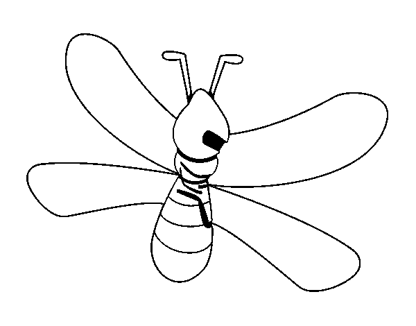 Dibujo de Mosquito con grandes alas para Colorear