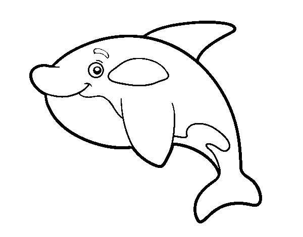Dibujo de Orca joven para Colorear