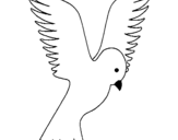 Dibujo de Paloma alzando las alas para colorear